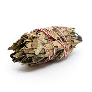 Smudge Hoja Santa (12 cm)